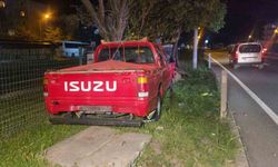 Kontrolü kaybeden kamyonet orta refüje savruldu; 1 yaralı