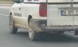 Köpeğin komik anları kamerada