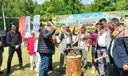 Köyceğiz'de Nevruz Bayramı coşkuyla kutlandı