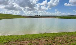 Kuraklıkla kuruma noktasına gelen gölet yağışlarla yeniden canlandı