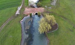 Leyleklerin durağı yemyeşil görüntüsüyle mest ediyor