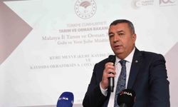 Malatya'da kayısıda pestisit ve okratoksin uyarısı