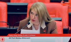 Malatya'nın dolu hasarı ve sanayi yatırımları TBMM gündeminde