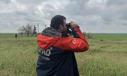 Mardin'de kayıp yaşlı kadını arama çalışmaları devam ediyor