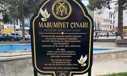'Masumiyet Çınarları' kaybedilen canların hatırası için dikildi