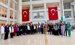 MEAH'a 'Anne Dostu Hastane' unvanı