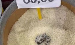 Mersin'de skandal görüntü: Pirinçten kedi dışkısı çıkan markete ceza