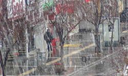 Meteoroloji uyardı: Kars'ta kar yağışı başladı
