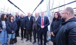 Meyve ağaçlarında doğru budama yöntemleri öğretildi