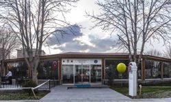 Mimarsinan Pidecisi yenilendi