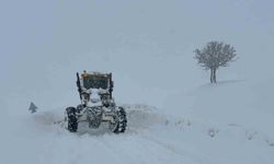 Muş'ta 55 köy yolu kapandı