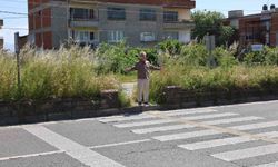 Nazilli Belediye Başkanı Tetik: 'Bu görüntüler Nazilli'ye yakışmıyor'