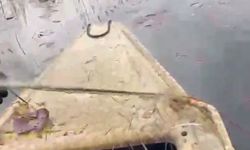 'Nilüfer Cenneti'nde kaçak avcılığa 'dur' denildi