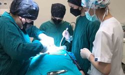 Ordu'da özel bireylerin diş problemlerine etkili çözüm