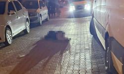 Ortaca'da iki kadına silahlı saldırı: 1 ölü, 1 ağır yaralı