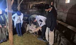 Özalp'te çiftçilere yönelik eğitim seferberliği başlatıldı