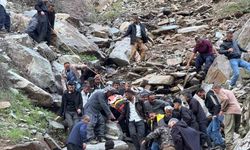 Pancar toplamaya gitti, kayalıklardan düşerek yaralandı