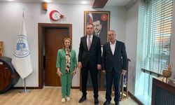 Pazaryeri'nde ulaşım hamlesi hız kazandı