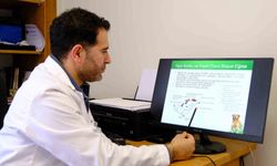 Prof. Dr. Koçkaya: 'Sokak hayvanlarına karşı sorumluluklarımız var'