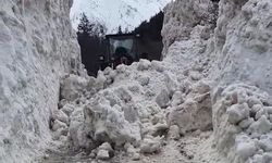 Rize'de yayla yollarında 5 metrelik kar temizliği
