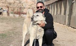 Rus güzele gönlünü kaptıran kangala kadınlardan tepki: 'Bizim erkeklerimiz böyledir'