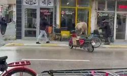 Sahibinin elinden kaçan inek bakın nereye girmeye çalıştı