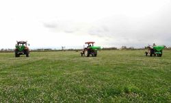 Samsun'da meralarda ıslah çalışmaları sürüyor