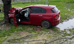 Siirt'te ağaca çarpan otomobilin sürücüsü yaralandı