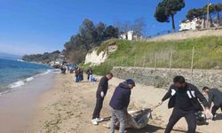 Sinop'ta sahil temizliği