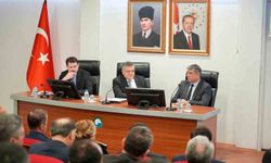 Sinop'ta sokak hayvanları için yol haritası belirlendi