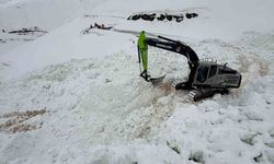 Şırnak'ta çığ düşen yolu açmak için ekipler seferber oluyor