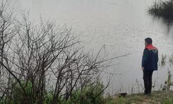 Söke'de sel sonrası tarım arazilerinde hasar tespiti sürüyor