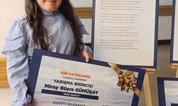 'Su Verimliliği Seferberliği' yarışması şiir dalı Türkiye birincisi Hisarcık'tan