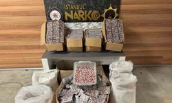 Sultanbeyli'de uyuşturucu operasyonu: 343 bin adet hap ele geçirildi