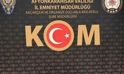 Tarihi eser operasyonunda bir kişi gözaltına alındı