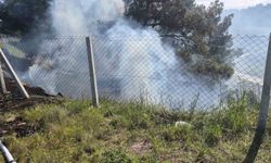 Tarlasındaki otları temizlerken ormanlık alanı yaktı