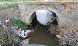 Tavşanlı'da bilinçsizce hareket çevre kirliliğine sebep oluyor