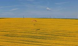 Tekirdağ'da sarı şölen: Paramotorlar sarı tarlaları gezdi