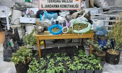 Tekirdağ'da uyuşturucu operasyonu: 1 tutuklama