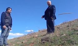 Ters laleyi koparmanın cezası 700 bin TL
