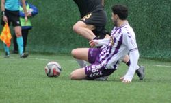 TFF 3. Lig: Çayelispor: 3 - Hopaspor: 2