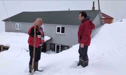 Torul'da kar altında ayı nöbeti