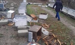 Tunceli'de ayı, 20 kovanı parçaladı