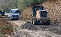 Türkeli'de heyelan sonrası köy yolu güvenli hale getirildi