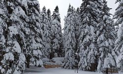 Uludağ'da kış geri dönüyor...Mayısta kar sürprizi yaşanacak