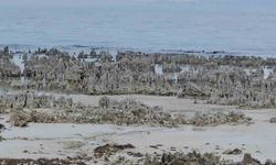 Van Gölü'nde kuraklık alarmı: Adilcevaz sahilinde mikrobiyalitler gün yüzüne çıktı