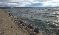 Van YYÜ Su Ürünleri Fakültesi Dr. Öğretim Üyesi Mustafa Akkuş: 'Bu yıl yüzleri güldürecek bir tablo mevcut'