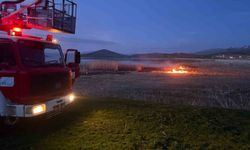 Van'da 2 farklı sazlık alanda yangın çıktı