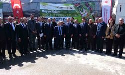 Van'da 5 yılda 4 buçuk milyon fidan toprakla buluşturuldu