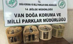 Van'da keklik avlayan şahsa 86 bin 278 lira para cezası